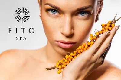 FITO SPA